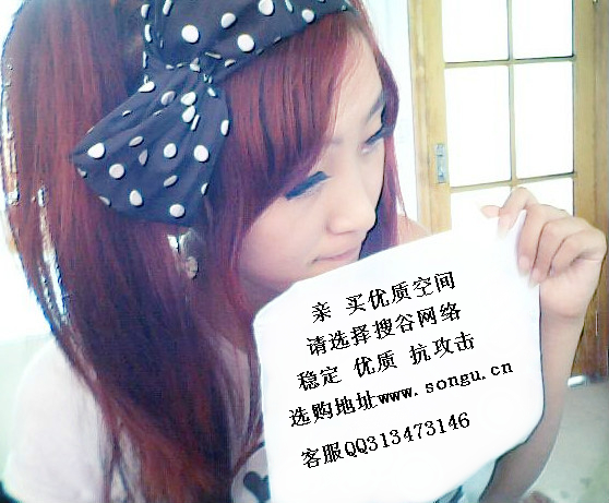 搜谷网络2